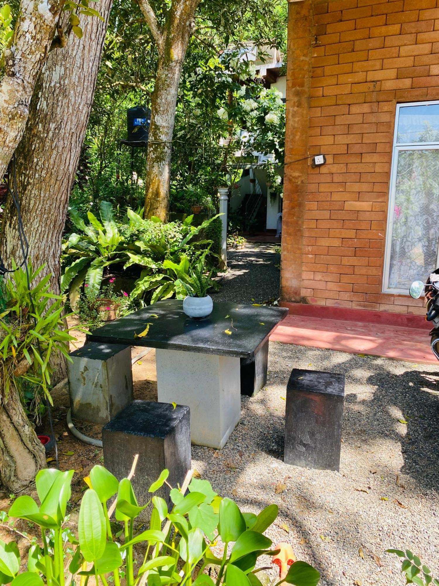 Little Mount Guest House Mirissa Extérieur photo