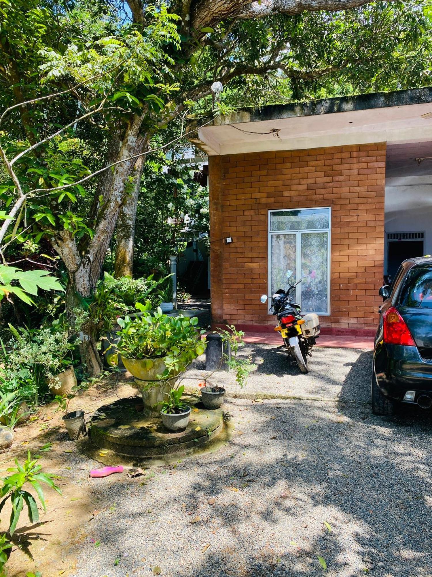 Little Mount Guest House Mirissa Extérieur photo