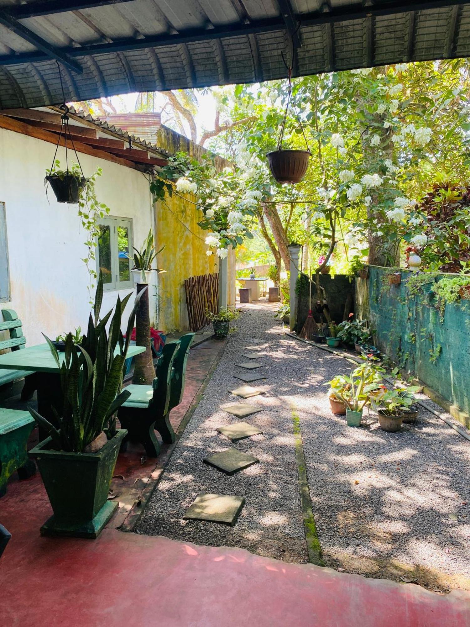Little Mount Guest House Mirissa Extérieur photo